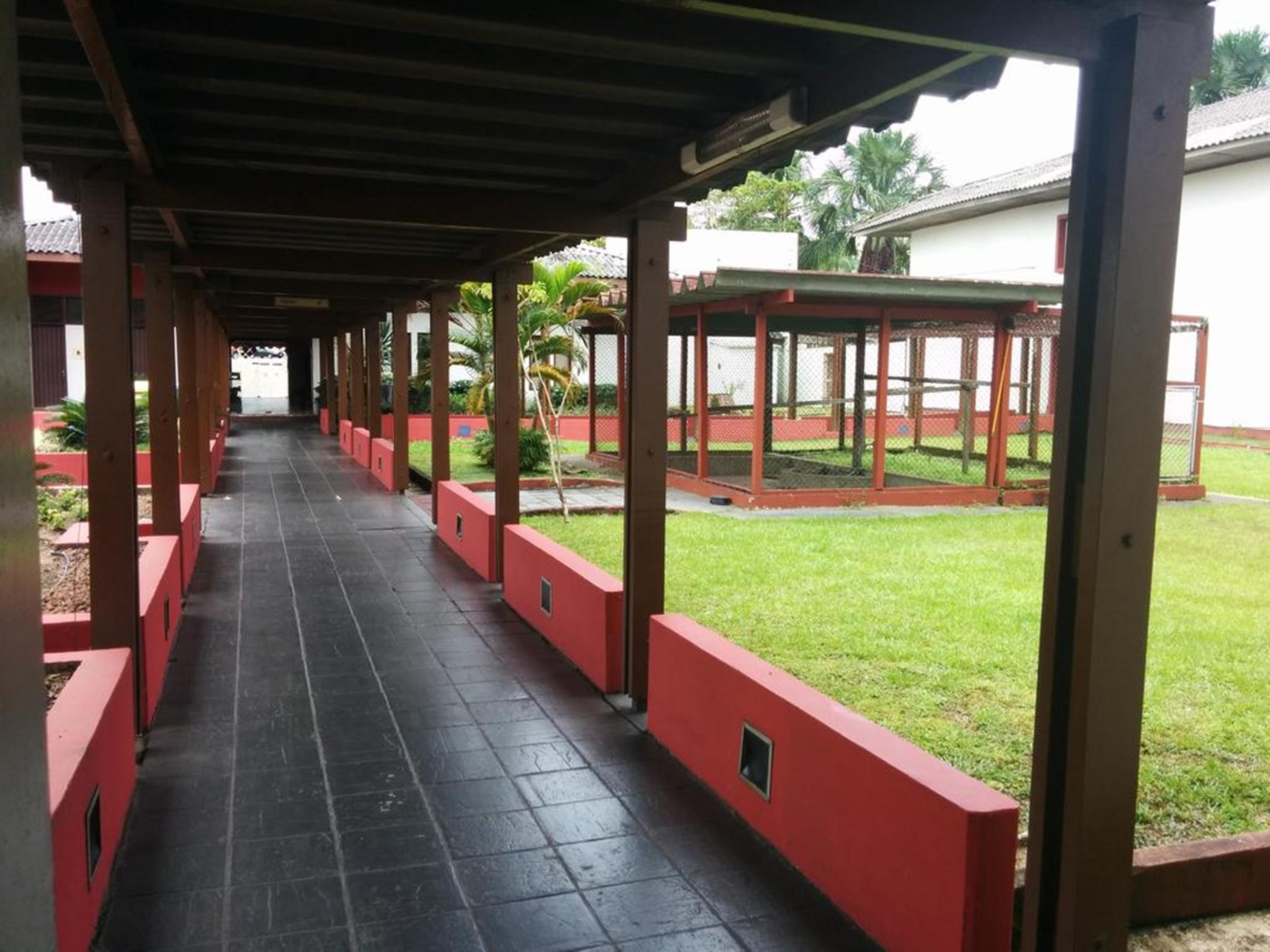 Hotel Vila Rica Belem Eksteriør billede