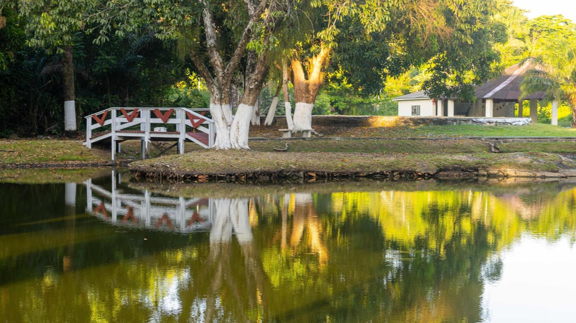 Hotel Vila Rica Belem Eksteriør billede